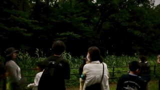 【相鉄線沿線「学びクラブ」】親子でホタル鑑賞会～横浜に自生するホタルを鑑賞しよう！～　2025年6月7日(土)