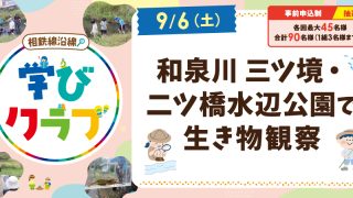 【相鉄線沿線「学びクラブ」】和泉川 三ツ境・二ツ橋水辺公園で生き物観察