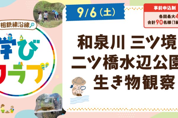 【相鉄線沿線「学びクラブ」】和泉川 三ツ境・二ツ橋水辺公園で生き物観察