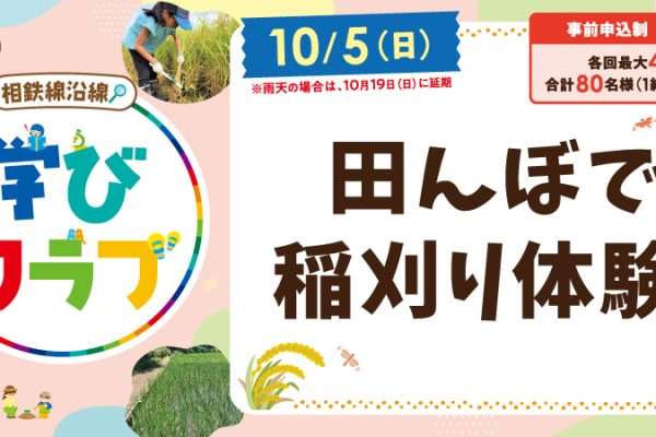 【相鉄線沿線「学びクラブ」】田んぼで稲刈り体験！ 2025年10月5日(日)