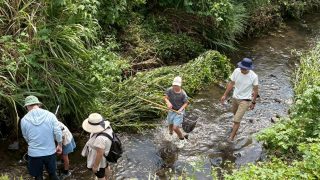 【相鉄線沿線「学びクラブ」】和泉川 三ツ境・二つ橋水辺公園で生き物観察　 2025年9月6日(土)