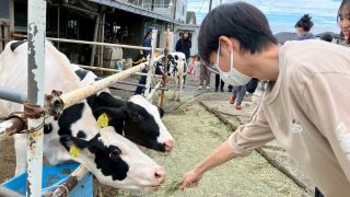 【相鉄線沿線「学びクラブ」】酪農体験 2025年11月1日(土)