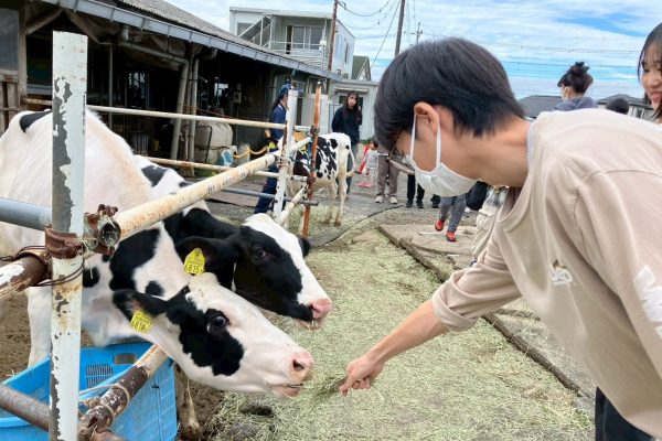 【相鉄線沿線「学びクラブ」】酪農体験　2025年11月1日(土)